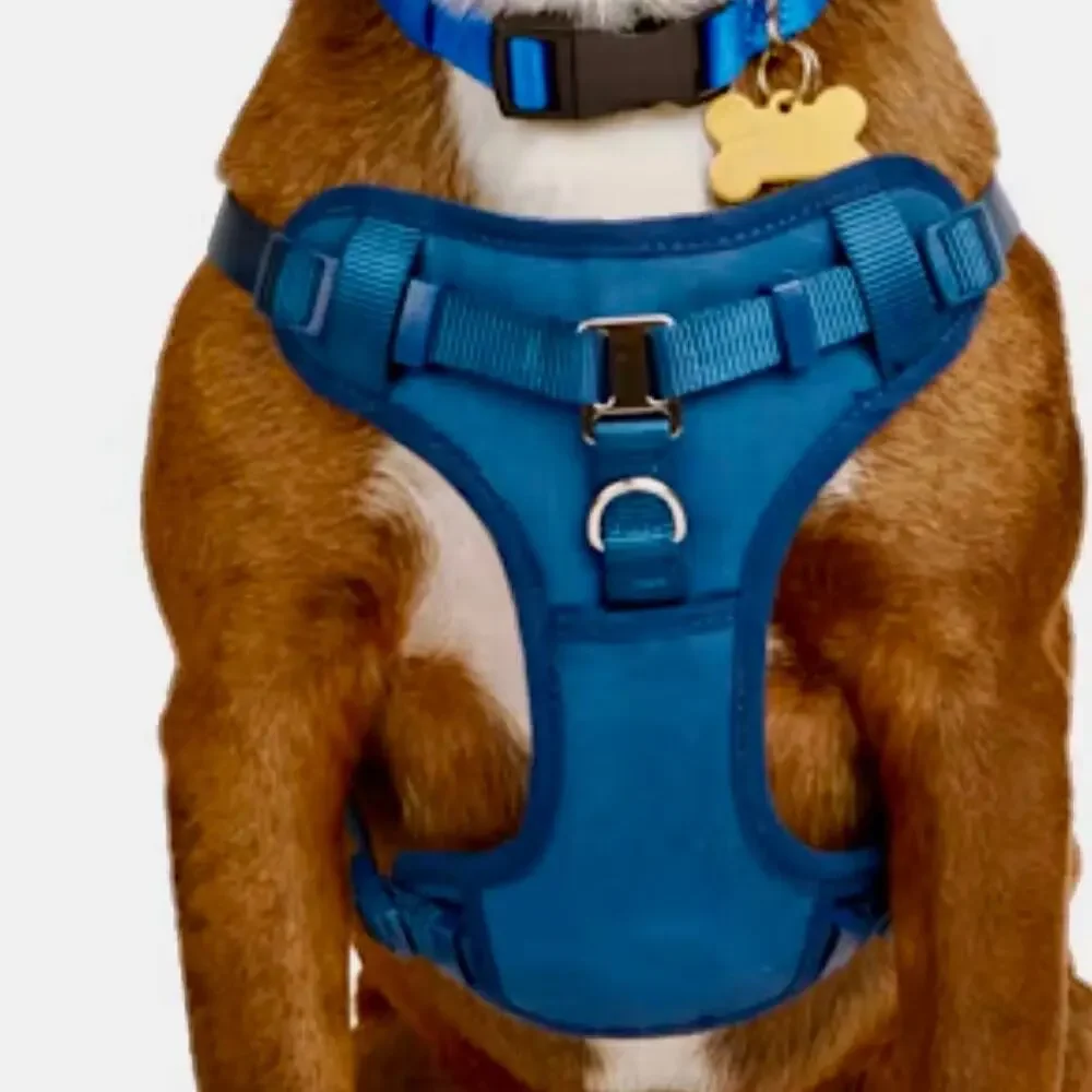 Youly Step-In Dog Harness Small Navy Blue No-Pull Front Clip EUC